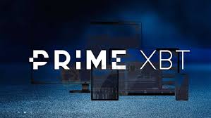 Exploring the World of PrimeXBT Traders